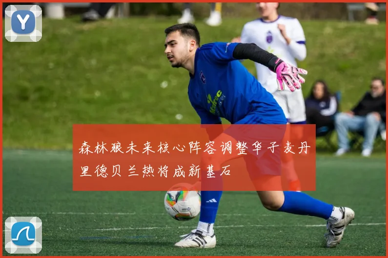 森林狼未来核心阵容调整华子麦丹里德贝兰热将成新基石